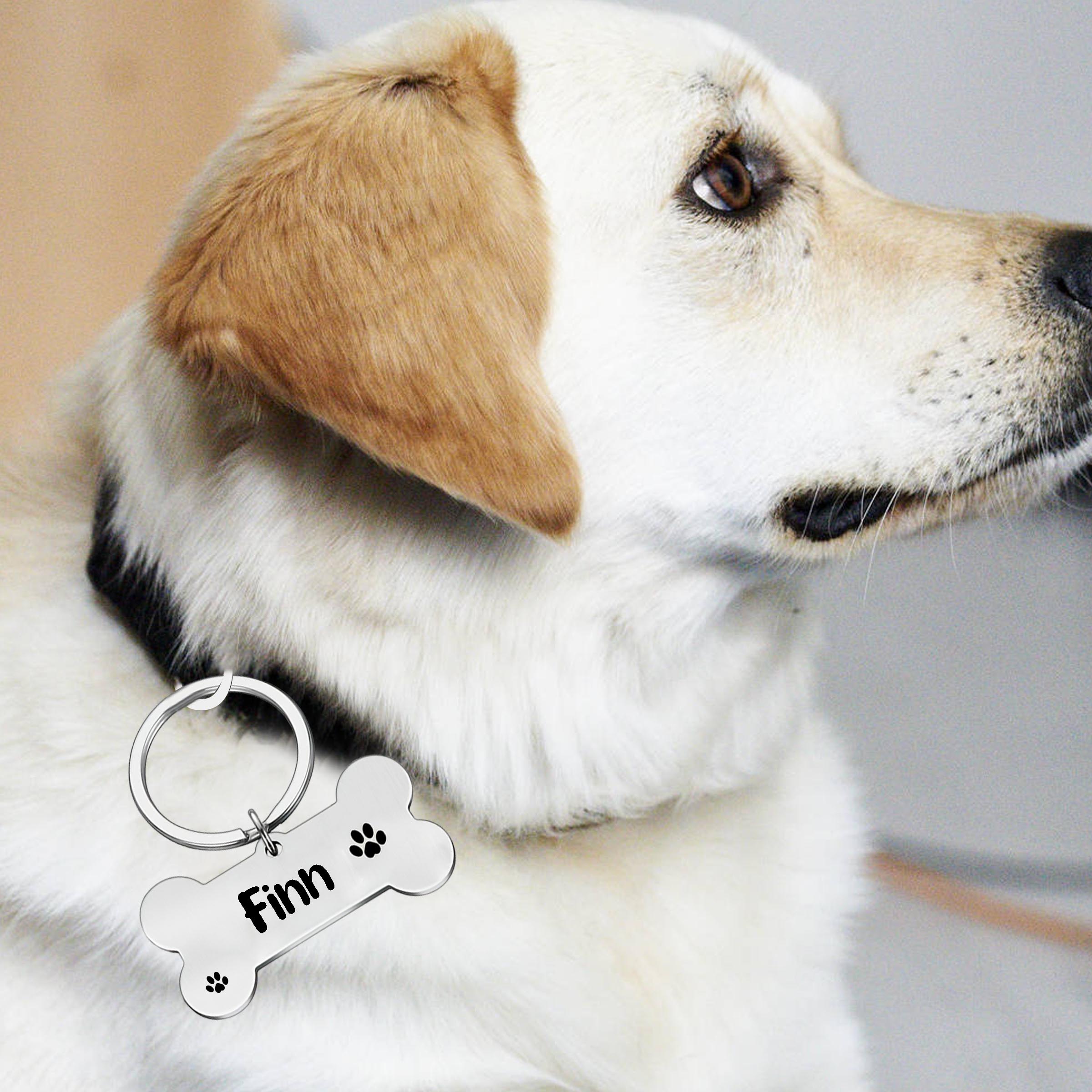 Animal collar outlet tags